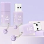 فلش مموری تروبایت مدل Truebyte Troll ظرفیت 64 گیگ